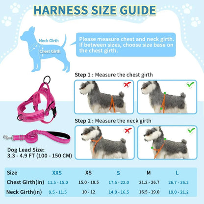No Pull Small Dog Harness & Leash Set, Soft Vest for Small Medium Dogs, Reflective & Adjustable, Fuchsia XS