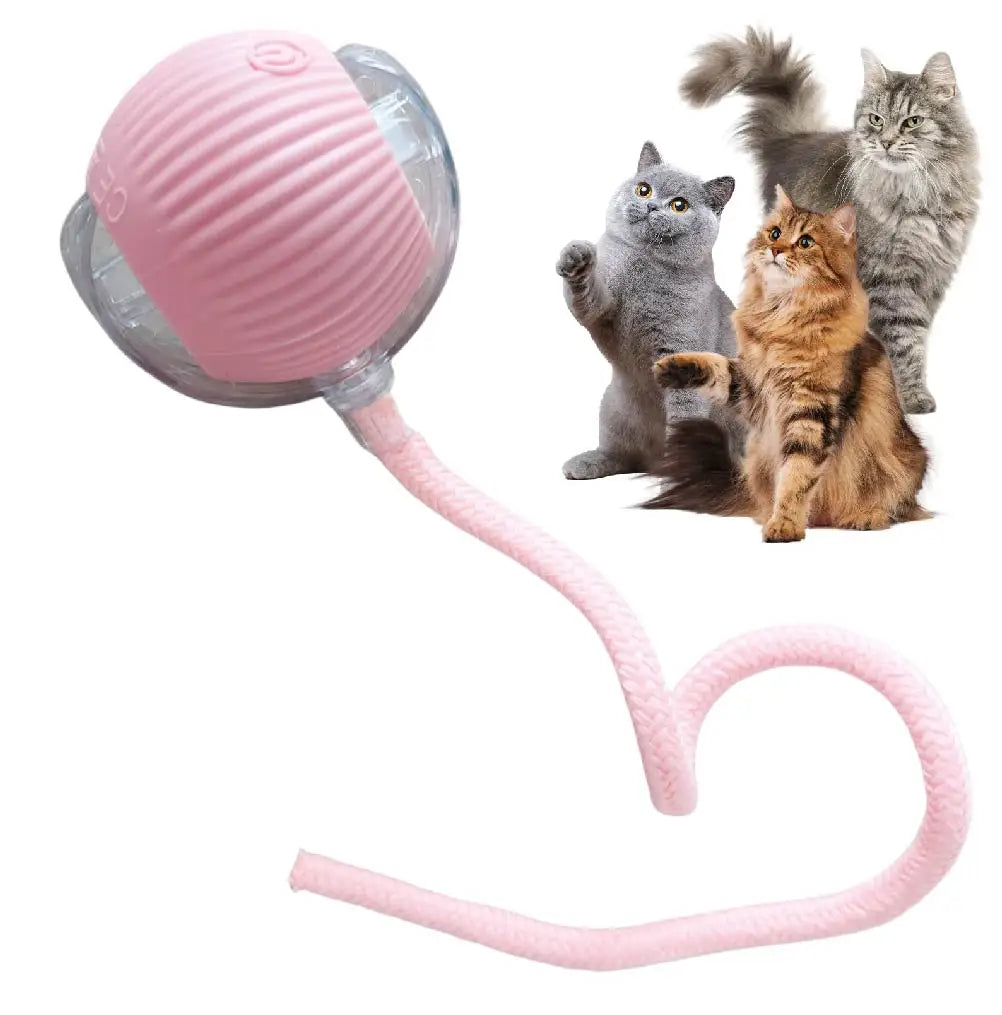 Rechargeable Interactive Rolling Cat Toy Ball Indoor Play