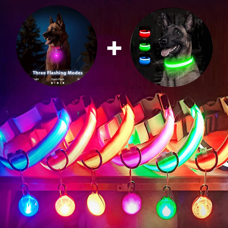 USB Charging Glowing Dog Collar With Pendant LED Night Safety