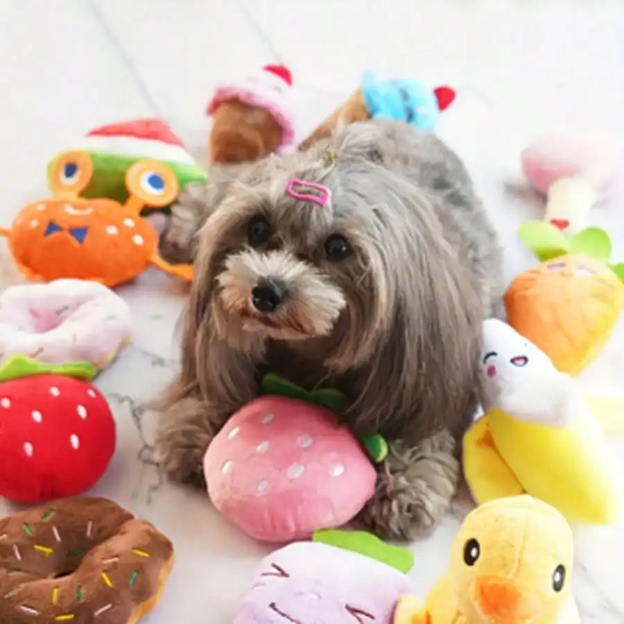 Squeaky Plush Dog Toy Set Multi Pack Various Designs