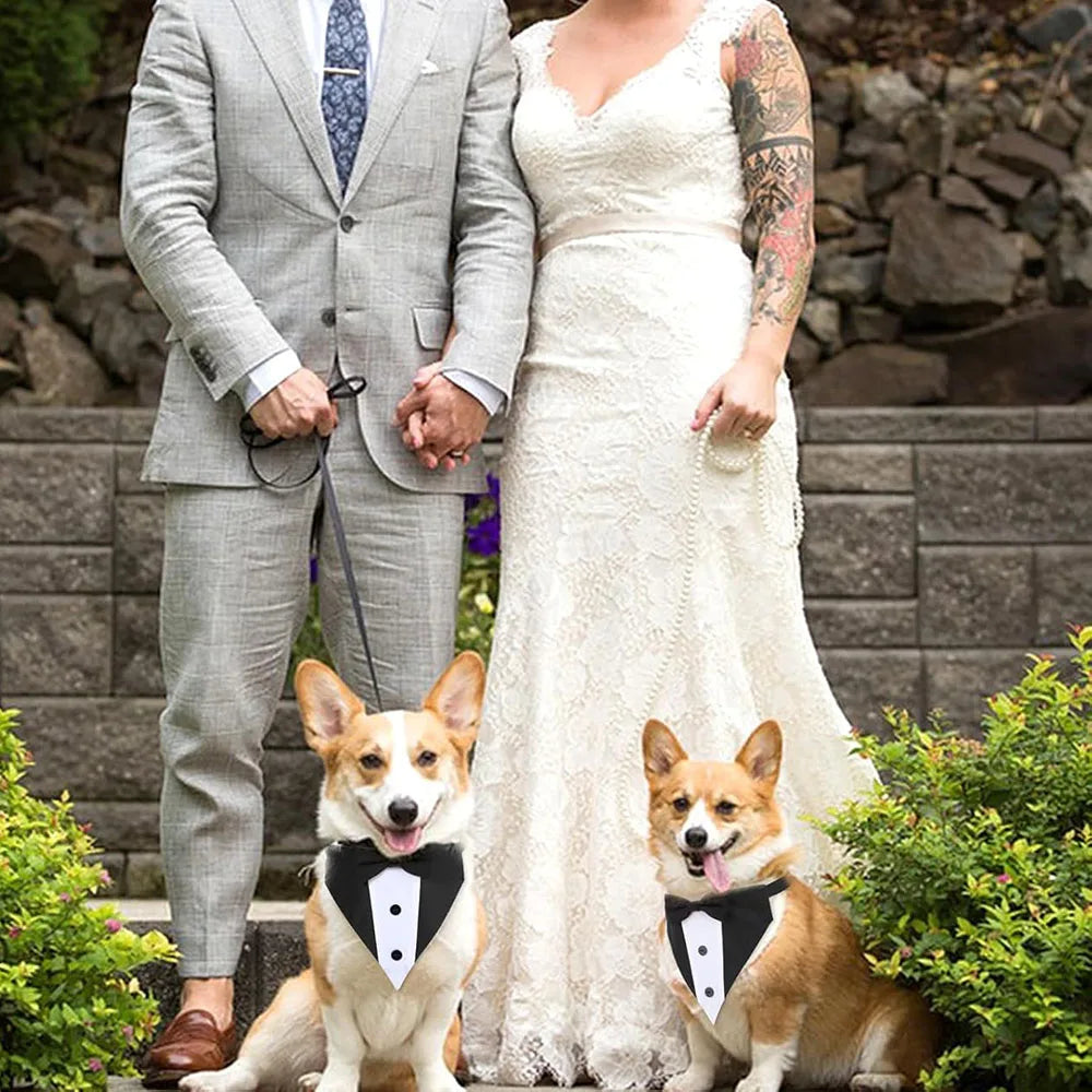 Dogs Tuxedo Formal Wedding Outfit Dog Bandana Tux Collar with Bow Tie Black Suit Costume for Pet Wedding Engagement and Birthday