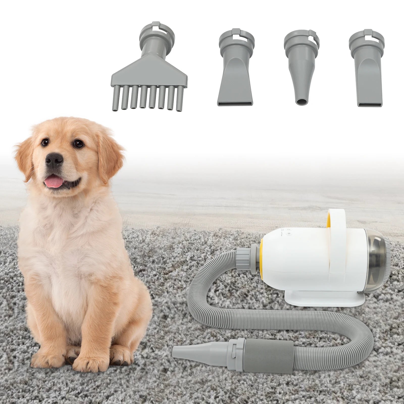 Pet Grooming Automatic Dryer Box 600W 1000W 2800W Pro