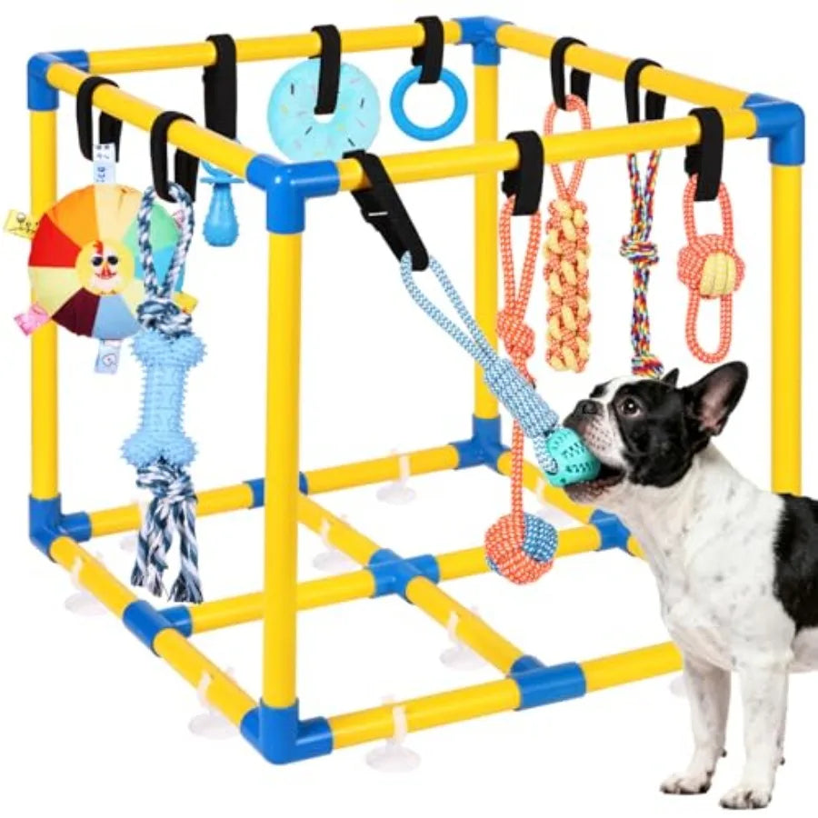 YAO HUI HUANG Deluxe Puppy Play Gym For Small Dogs