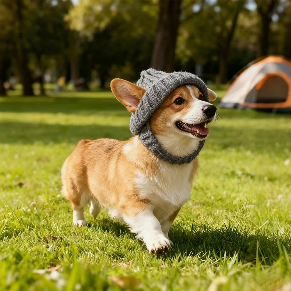 NONECN Warm Knitted Hat For Maltese Dogs Indoors Outdoors