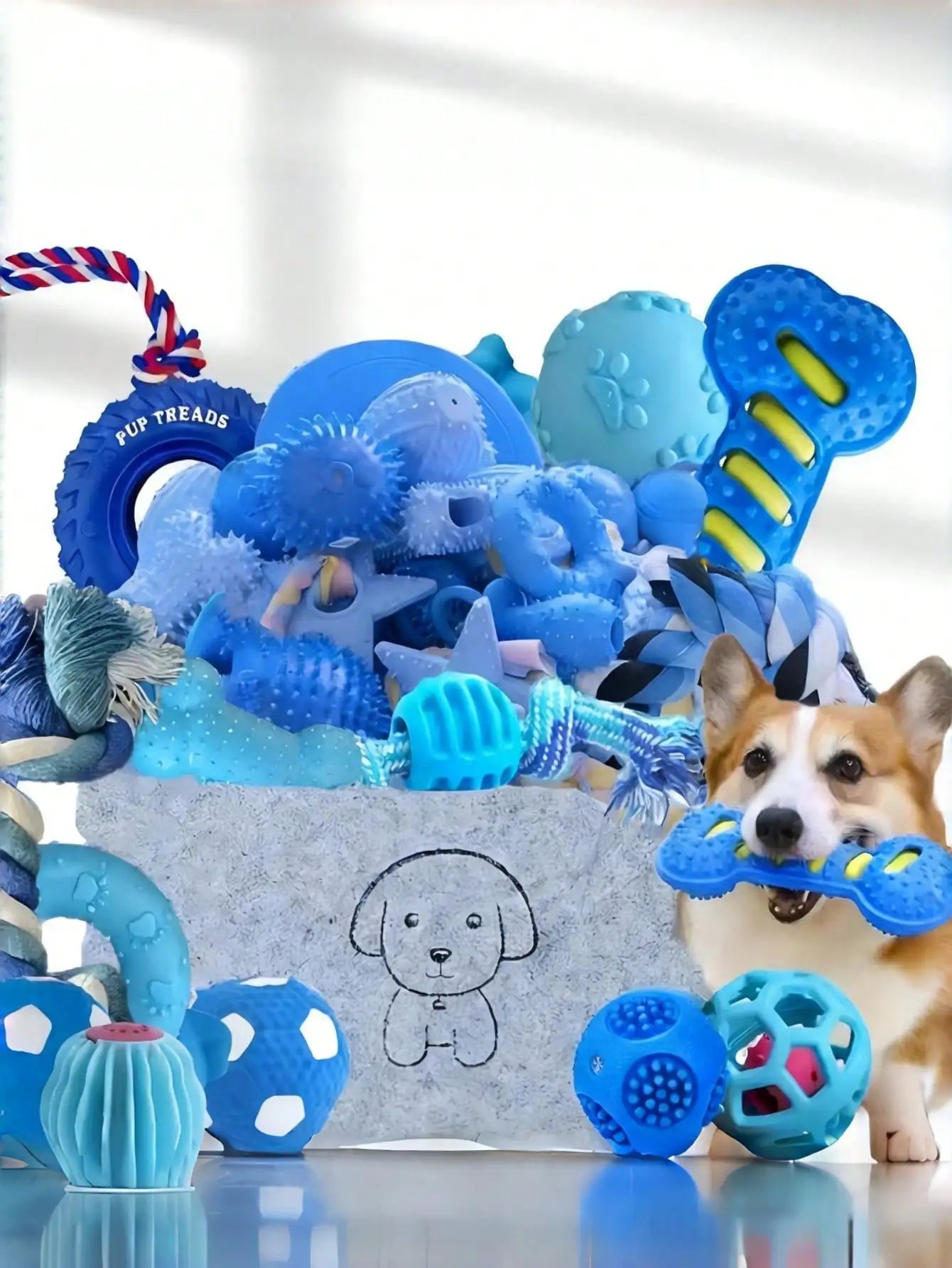 Resilient Dog Toy Set With Chew Balls And Rope Toys