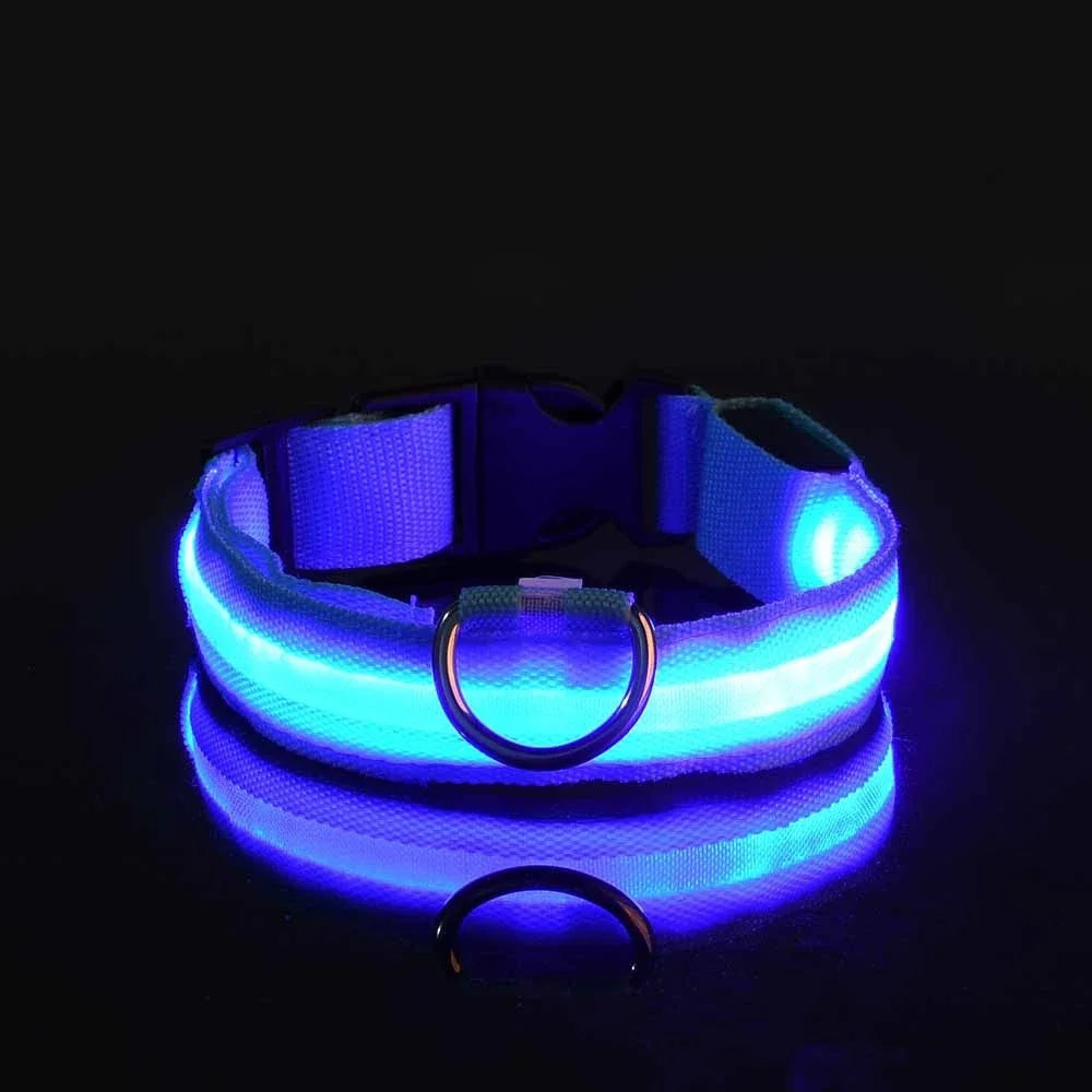 Nylon LED Night Safety Dog Leash And Collar Glow Bright