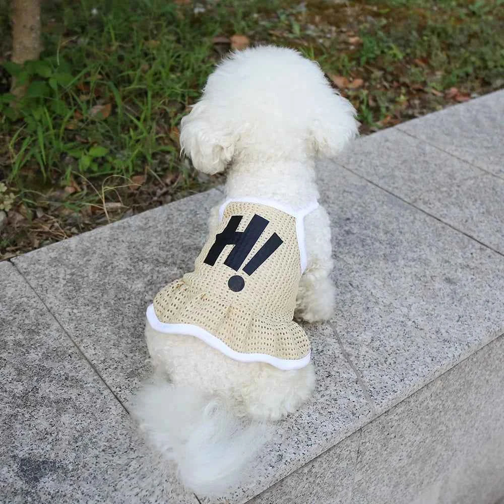 Mesh Strap Pet Princess Skirt Summer Small Dog Cat Thin Cool Breathable Simple Daily Walking Teddy Outfit