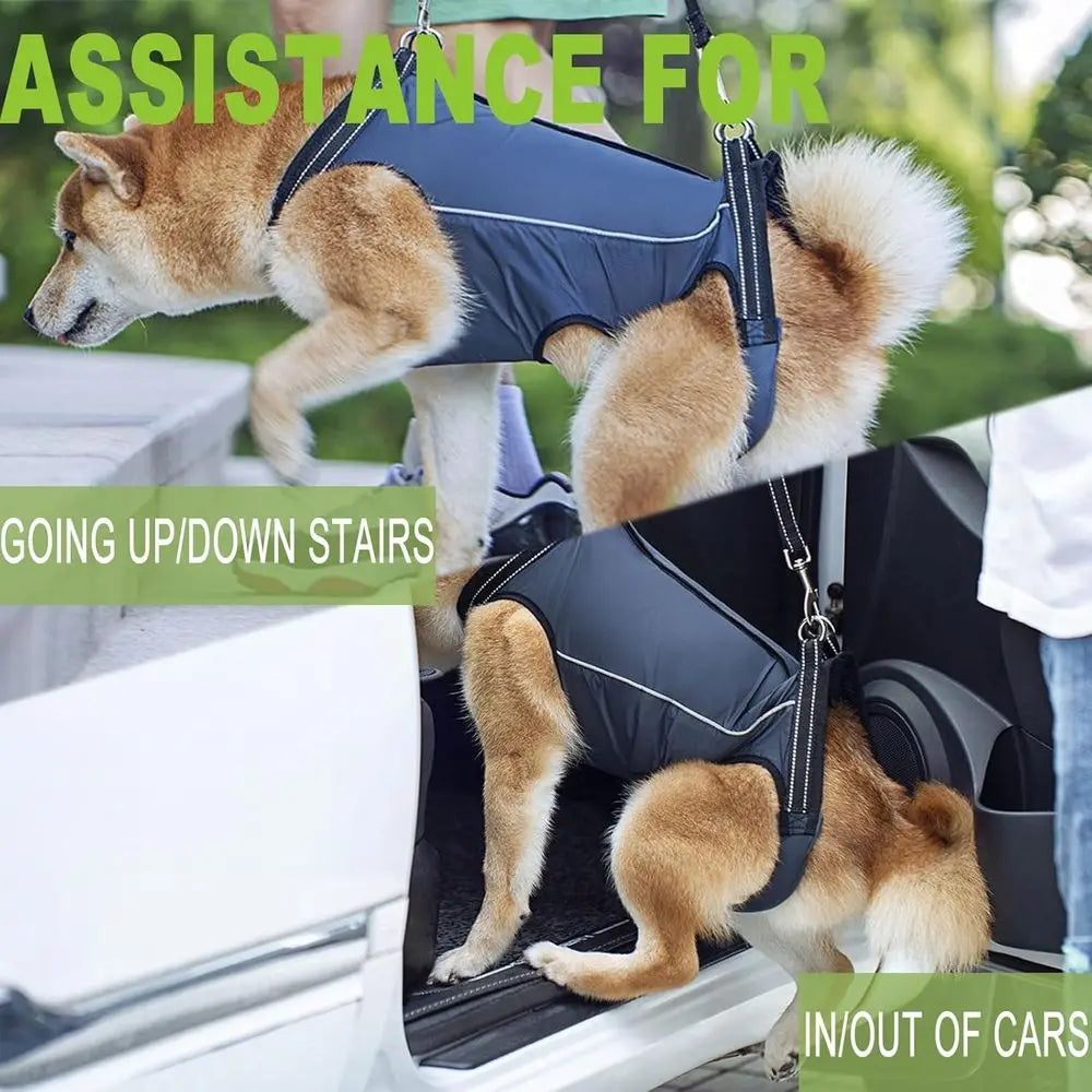 OVOZI Dog Support Harness With Lifting Sling For Mobility