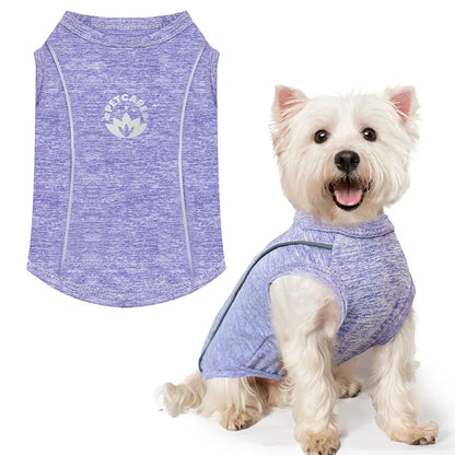 Pet Dog Shirt Quick Dry Dog T-Shirt Chihuahua Breathable Thin Sun Protection Dog Shirt Puppy Outdoor Clothes Summer Pet Supplies
