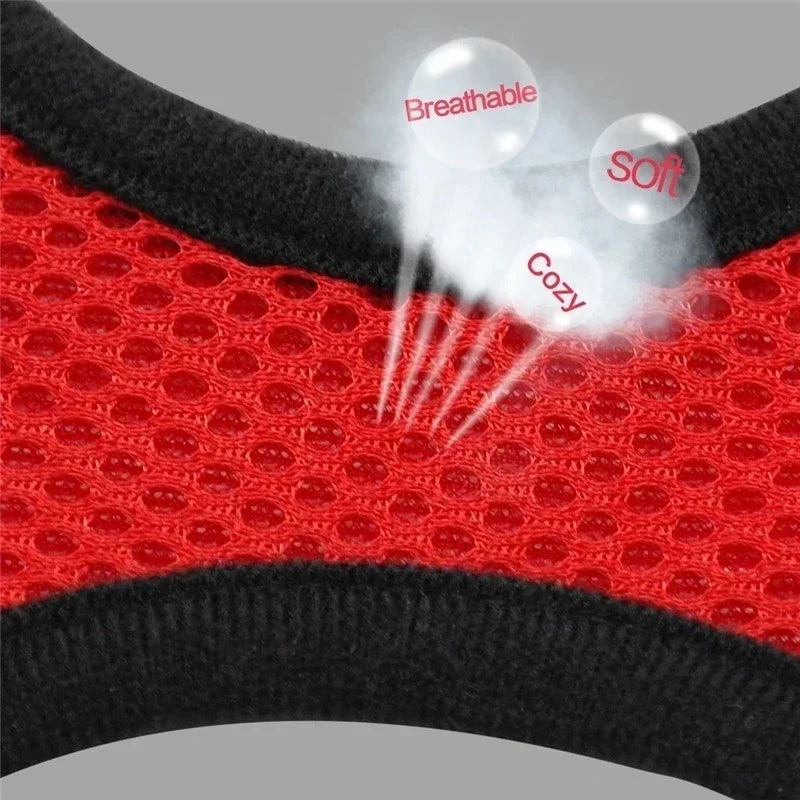 Cat Harness Vest With Adjustable Polyester Mesh Leash For Pets