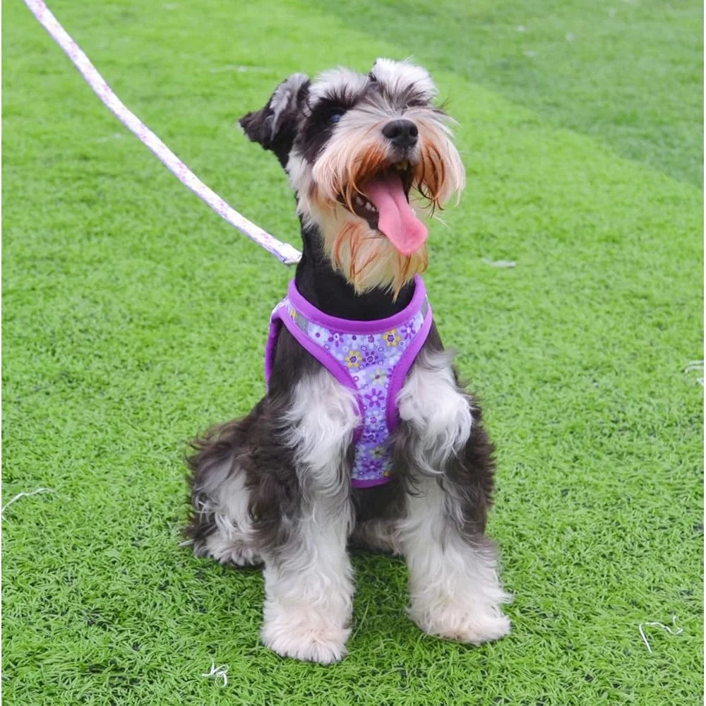 Reflective No Pull Dog Harness Leash Set Padded Mesh Vest