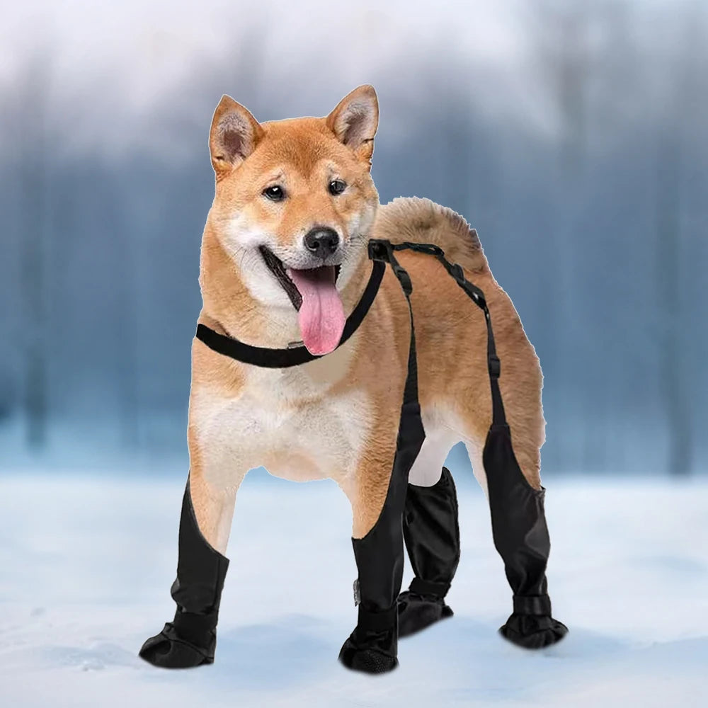 CN Guangdong Dog Paw Protectors Boots Leggings Waterproof Outdoor Walks