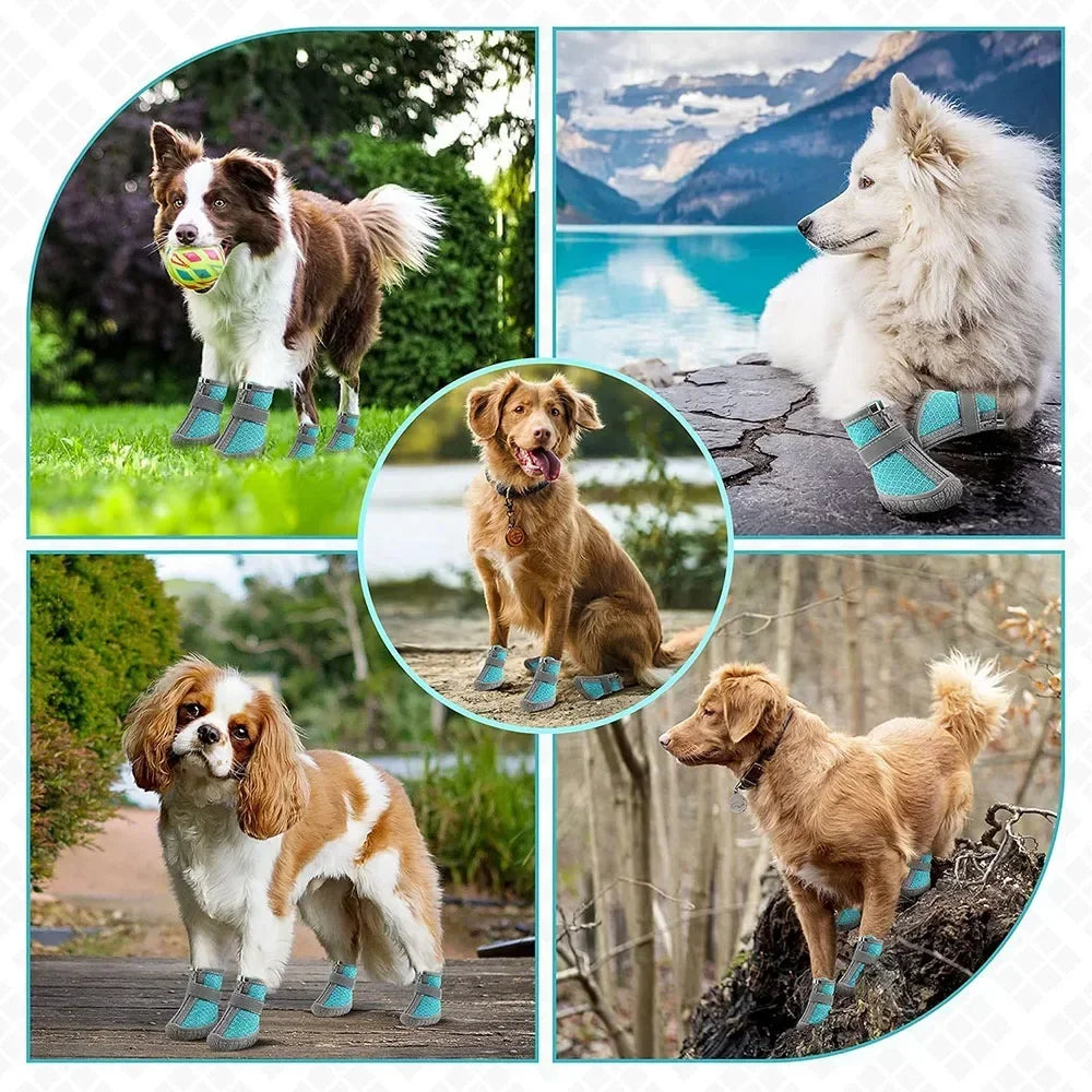Anti Slip Dog Shoes For Small Dogs Breathable Puppy Boots 4 Pack