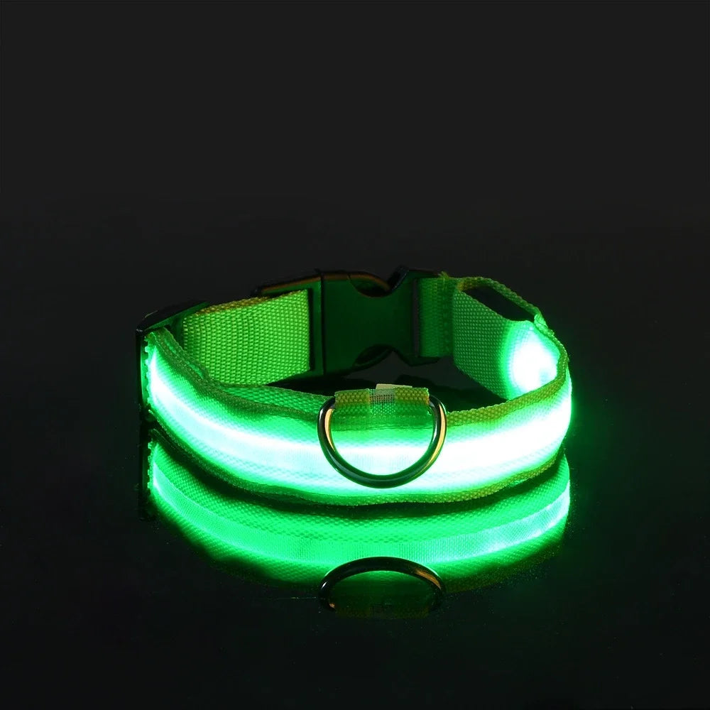 Nylon LED Night Safety Dog Leash And Collar Glow Bright