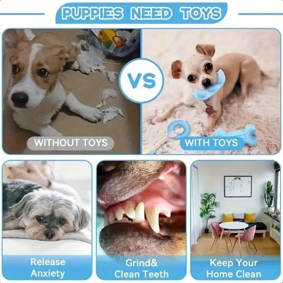 Resilient Dog Toy Set With Chew Balls And Rope Toys