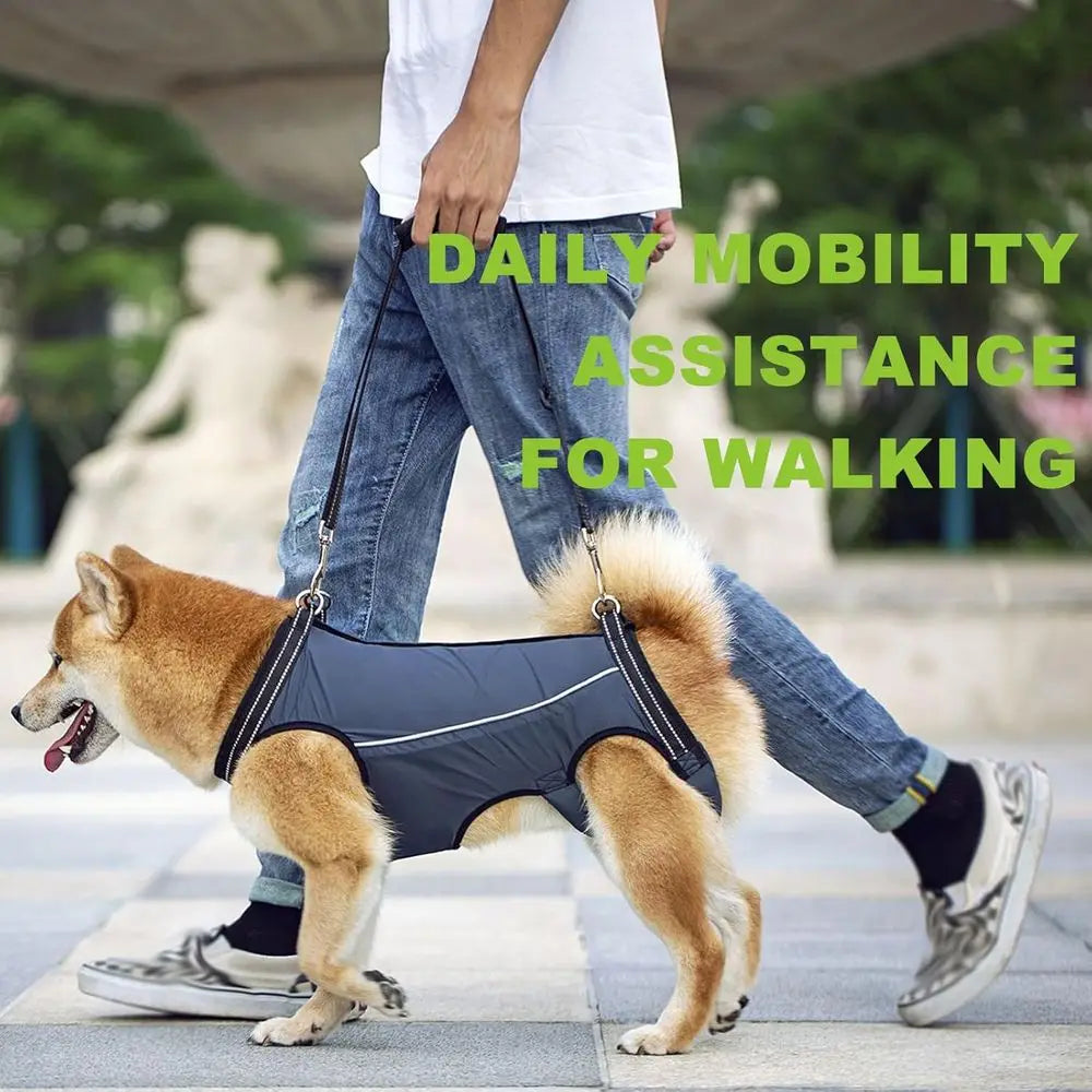 OVOZI Dog Support Harness With Lifting Sling For Mobility