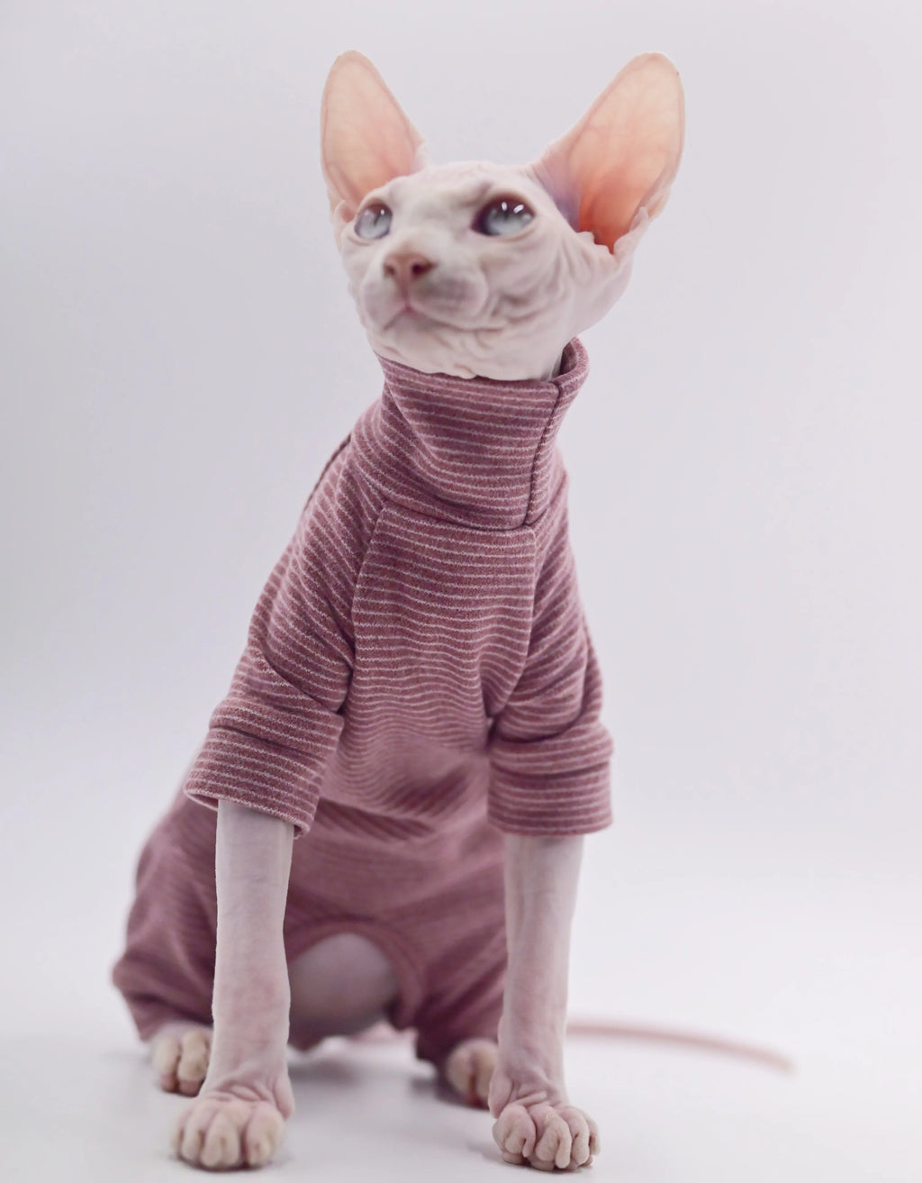 Duomasumi Hairless Cat Hoodie Four Legged Warm Soft For Sphynx