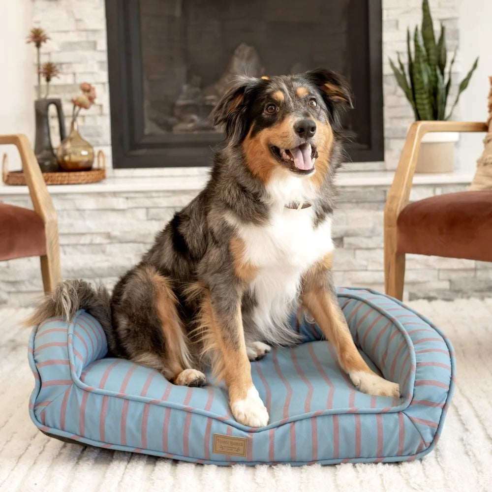 XMSJ Dog Bed Memory Foam Eco Friendly Removable Cover