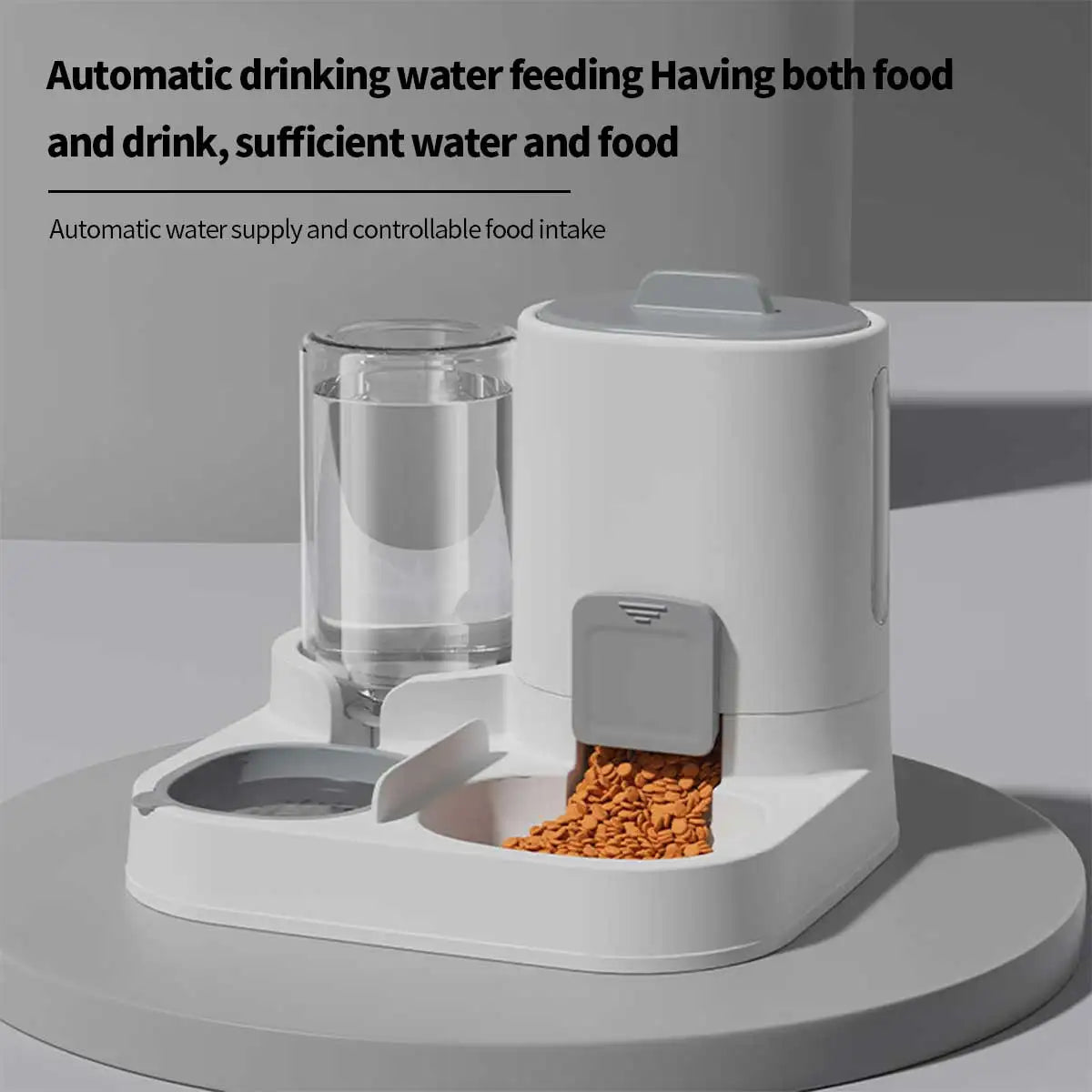 Dual-Purpose Pet Feeder and Water Dispenser for Small Dogs