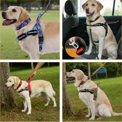 No Pull Dog Harness, Heavy Duty Collar and Leash Set-Leash with Double Handle and Car Seatbelt Clip-Easy Control for Walking Tr