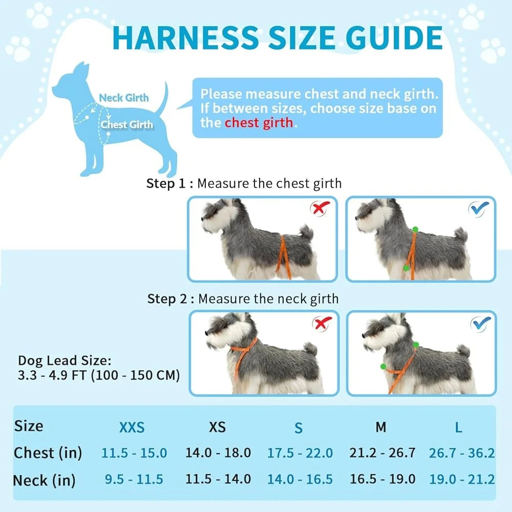 Adjustable Reflective Padded Dog Harness And Leash Set