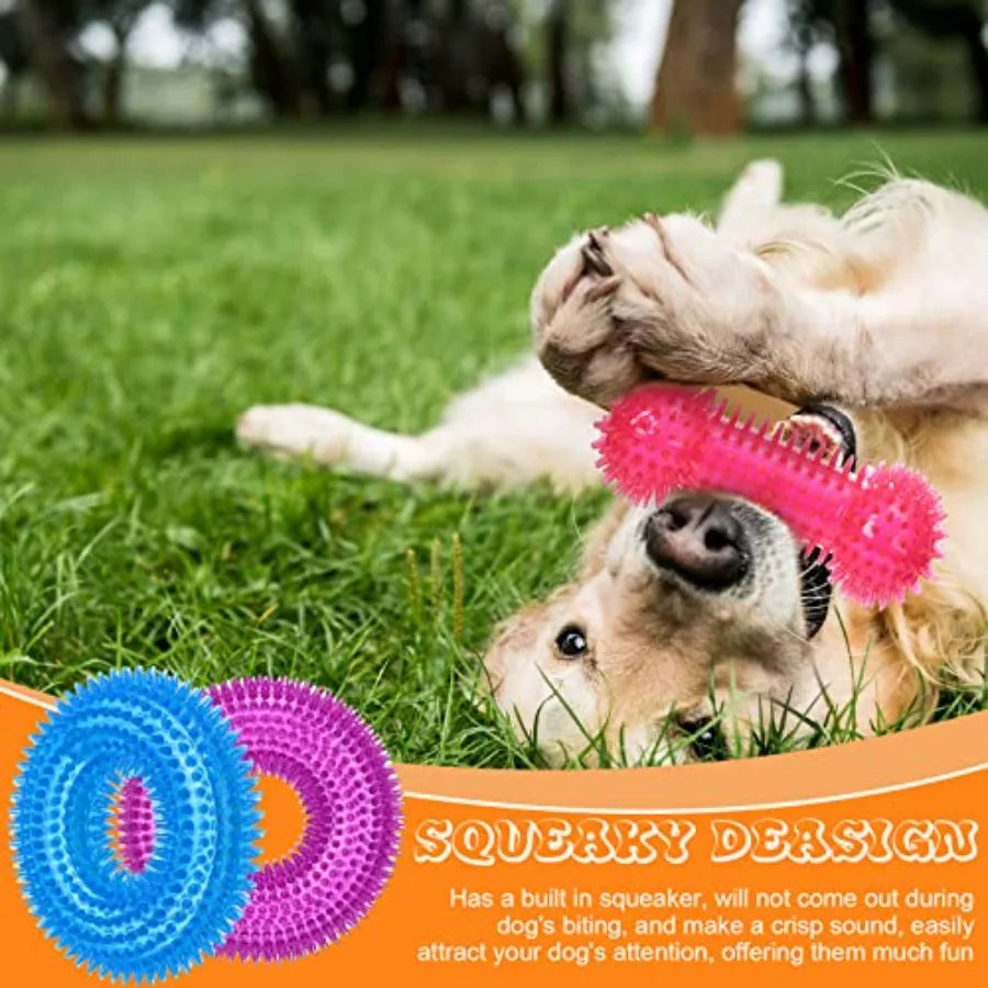 Dog Squeaky Toys Pack TPR Rubber Chew Toys For Puppy