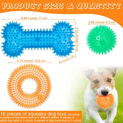 Dog Squeaky Toys Pack TPR Rubber Chew Toys For Puppy