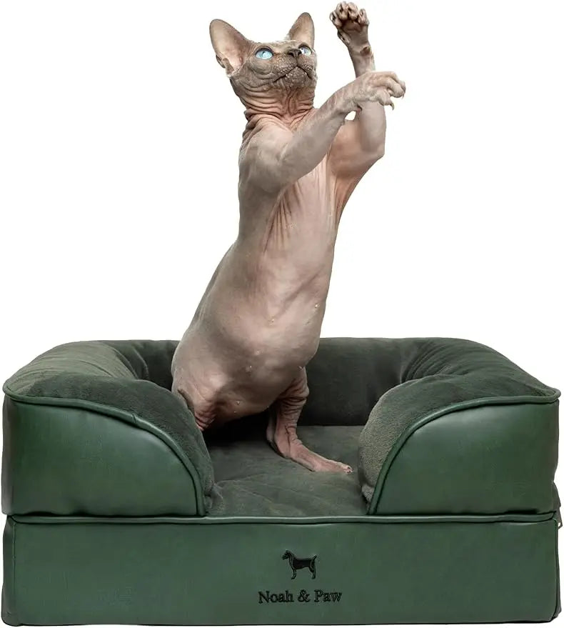 Noah And Paw Orthopedic Memory Foam Dog Bed With Gel