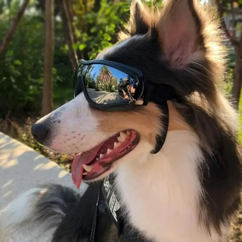 Adjustable Dog Goggles Anti UV Sunglasses Eye Protection