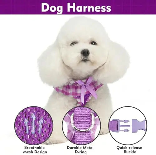 YTYIN Dog Harness Set With Adjustable Collar And Leash