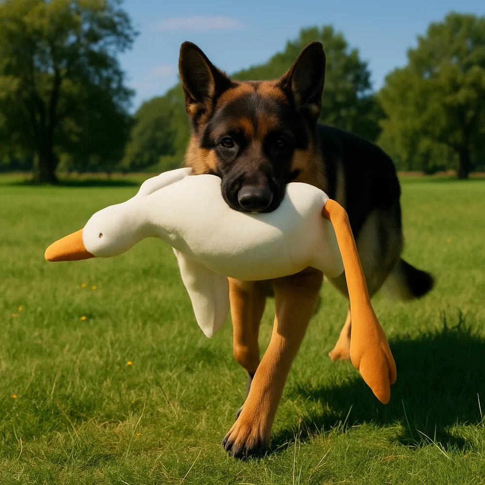 Plush Duck Dog Toy Chew and Play Realistic Durable Design