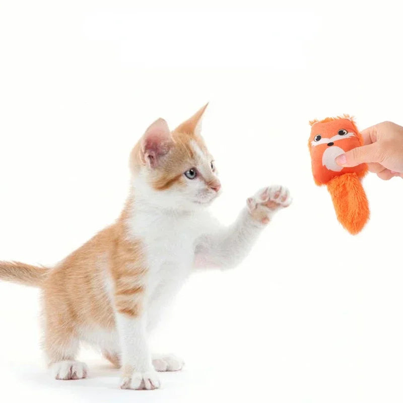 Guangdong Cartoon Fox Cat Toy Raccoon Squirrel Catnip Mint Plush