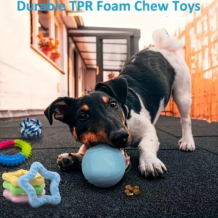 Triple Pack Durable Nylon Dog Chew Toys for Small Breeds