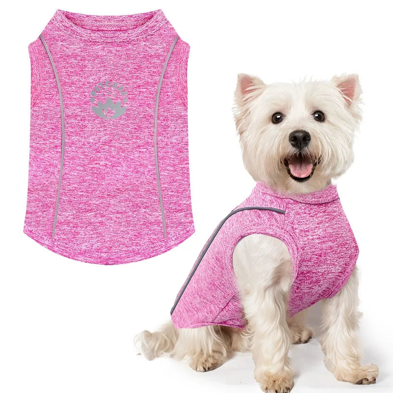 Pet Dog Shirt Quick Dry Dog T-Shirt Chihuahua Breathable Thin Sun Protection Dog Shirt Puppy Outdoor Clothes Summer Pet Supplies
