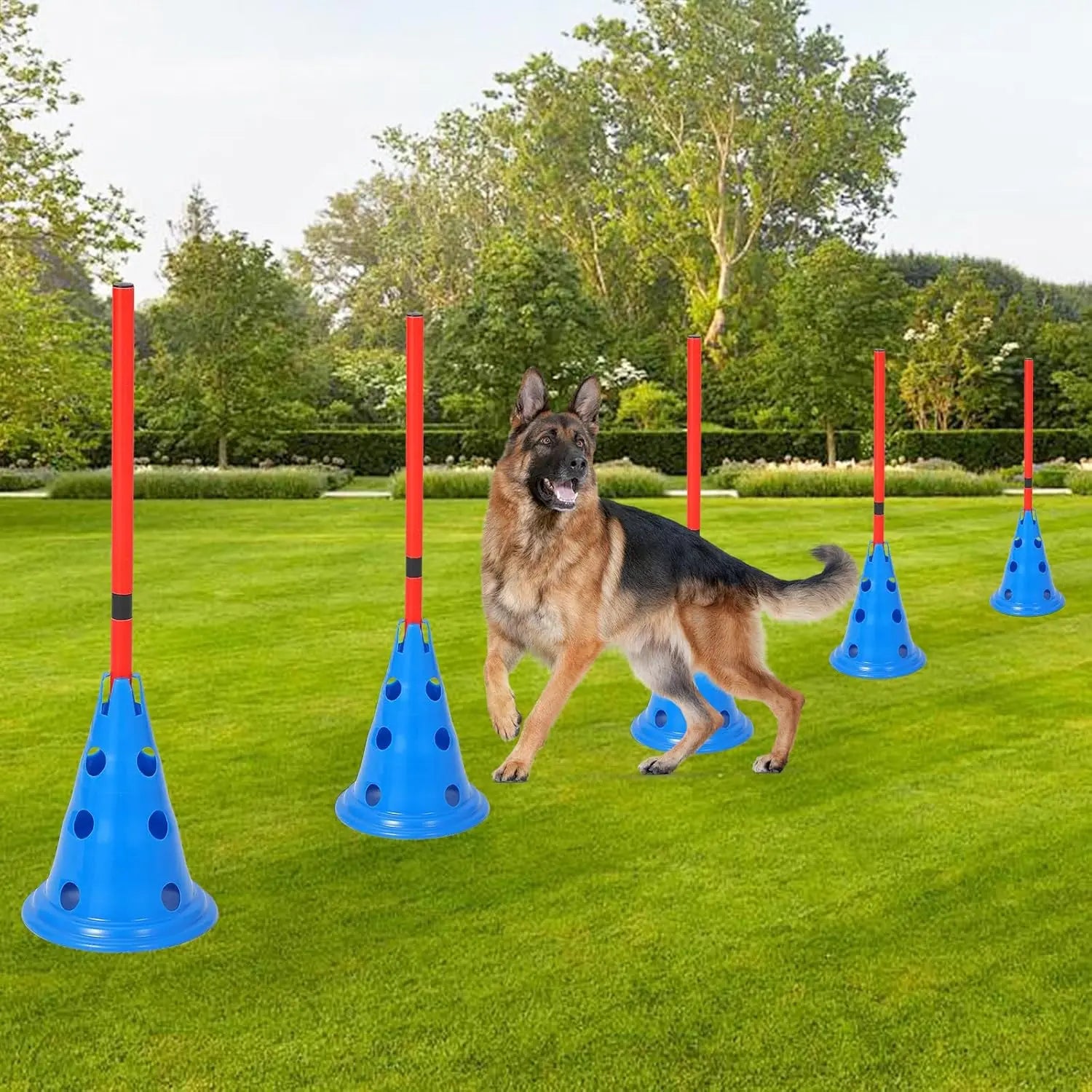 HiMISS Dog Agility Hurdle Cone Set 12 Cones 6 Rods