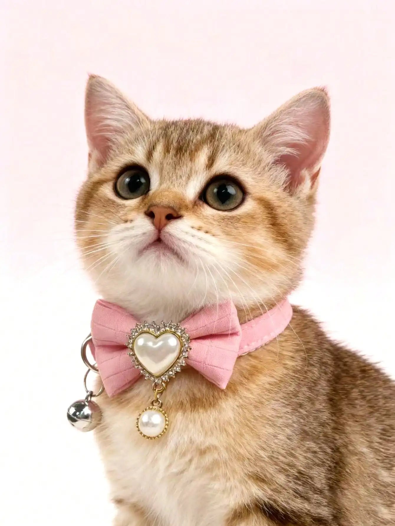 Silicone Bow Tie Pet Collar, Adjustable For Cat And Dog