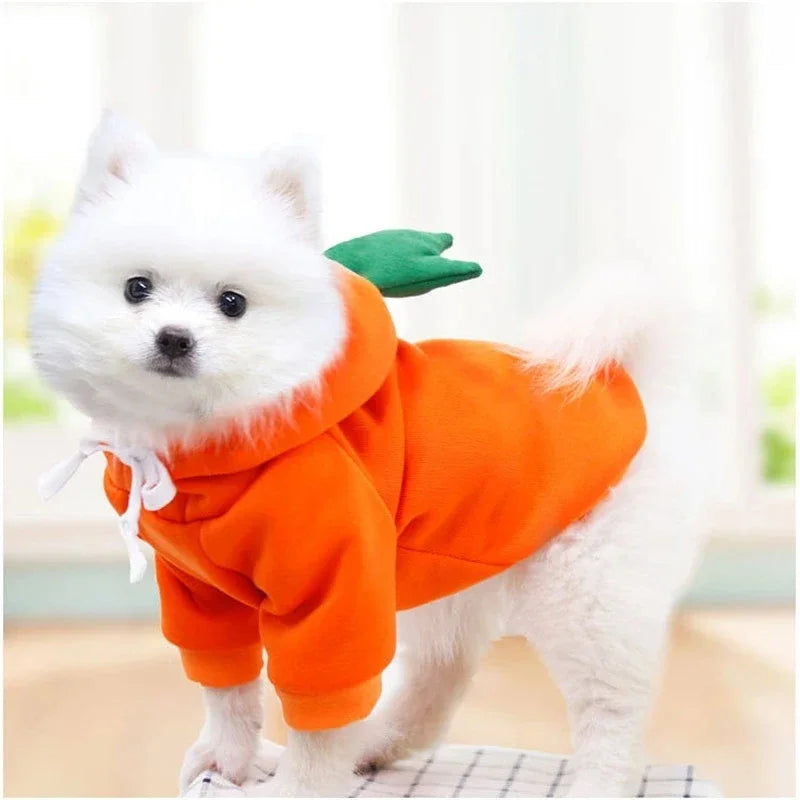 WANGMEOW Cute Fruit Dog Clothes Warm Fleece Hoodies For Small Pets