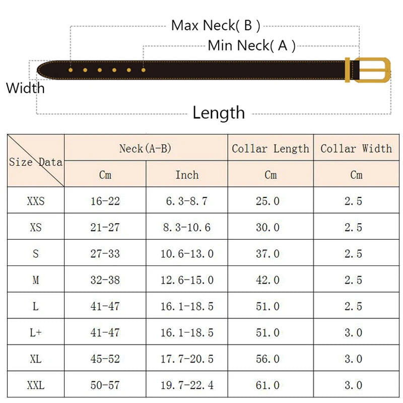 Rivet Collar and Leash Set for Medium to Large Dogs