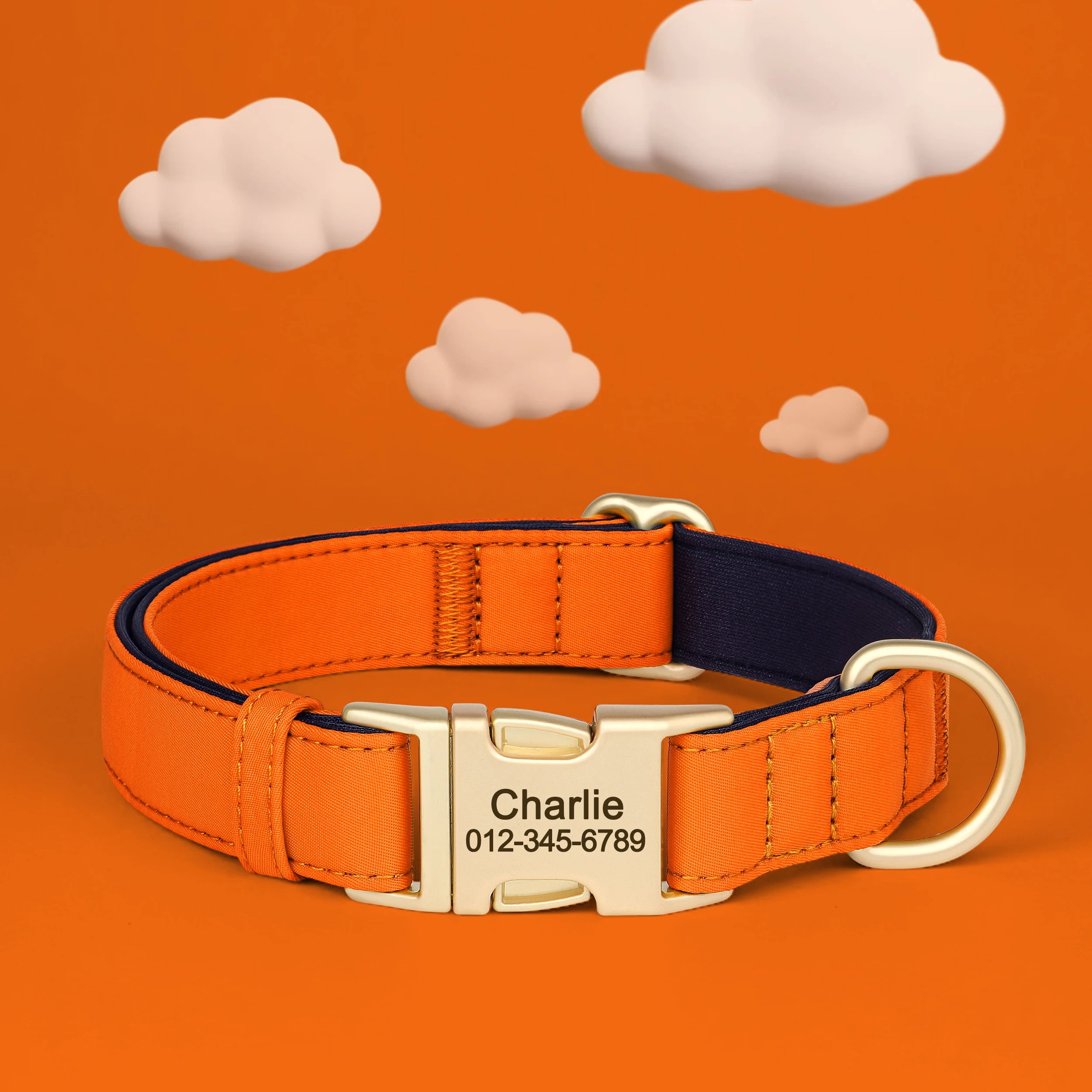 NONECN Personalized Waterproof Nylon Dog Collar Padded Engraved