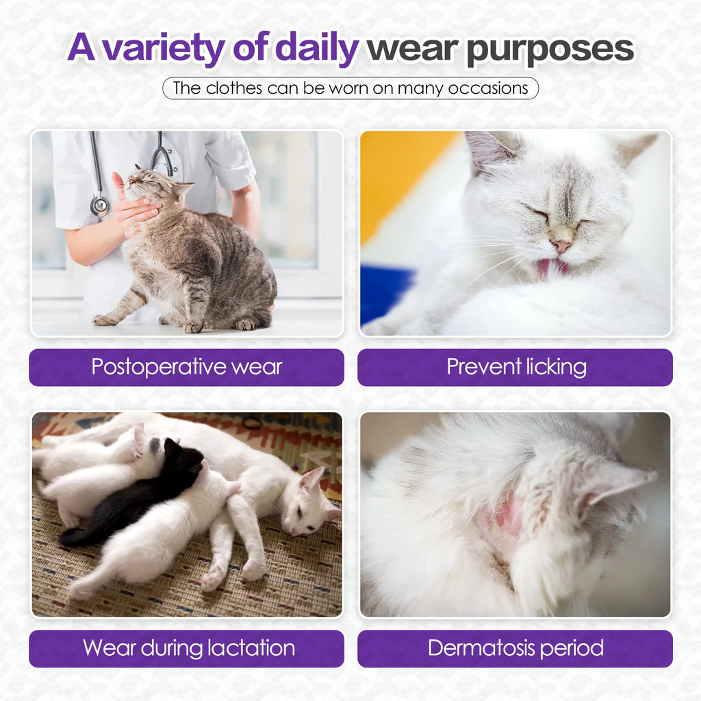 Cat Recovery Suit Professional,Abdominal Wounds Cone E-Collar Alternative,Pet Surgical Recovery Suit Soft Onesie for Cats