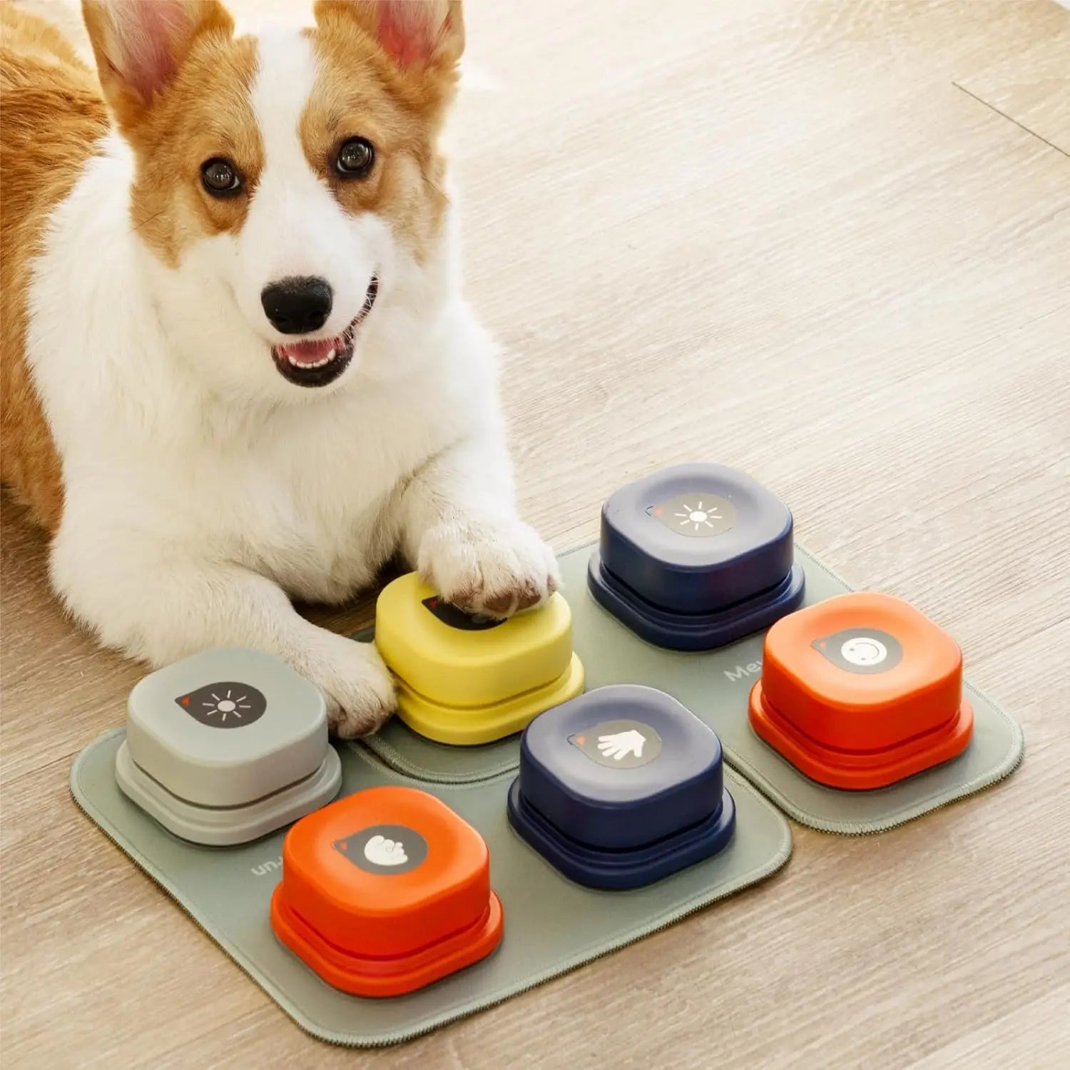 MEWOOFUN Dog Talking Buttons With Rubber Mat Recordable Starter Pack
