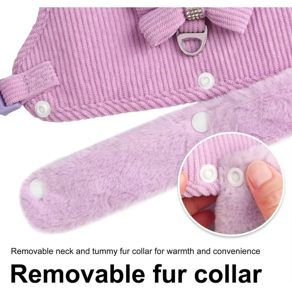 Cute Padded Dog Harness Leash Set With Removable Bow