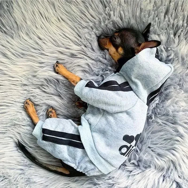 Cozy Dog Jumpsuit With Warm Hoodie Sweatshirt For Dogs