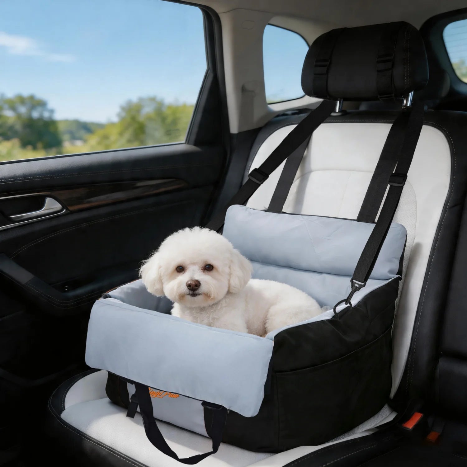 BINGOPAW Dog Car Seat For Small Dogs Washable Booster Seat