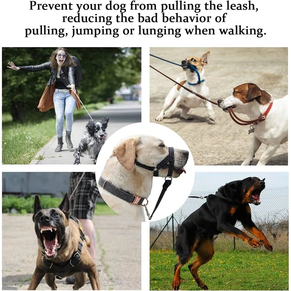 Reflective No Pull Soft Padded Dog Head Halter With Leash