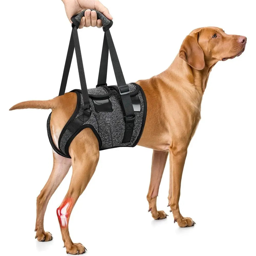 OVOZI Dog Adjustable Sling Harness For Hind Leg Rehab