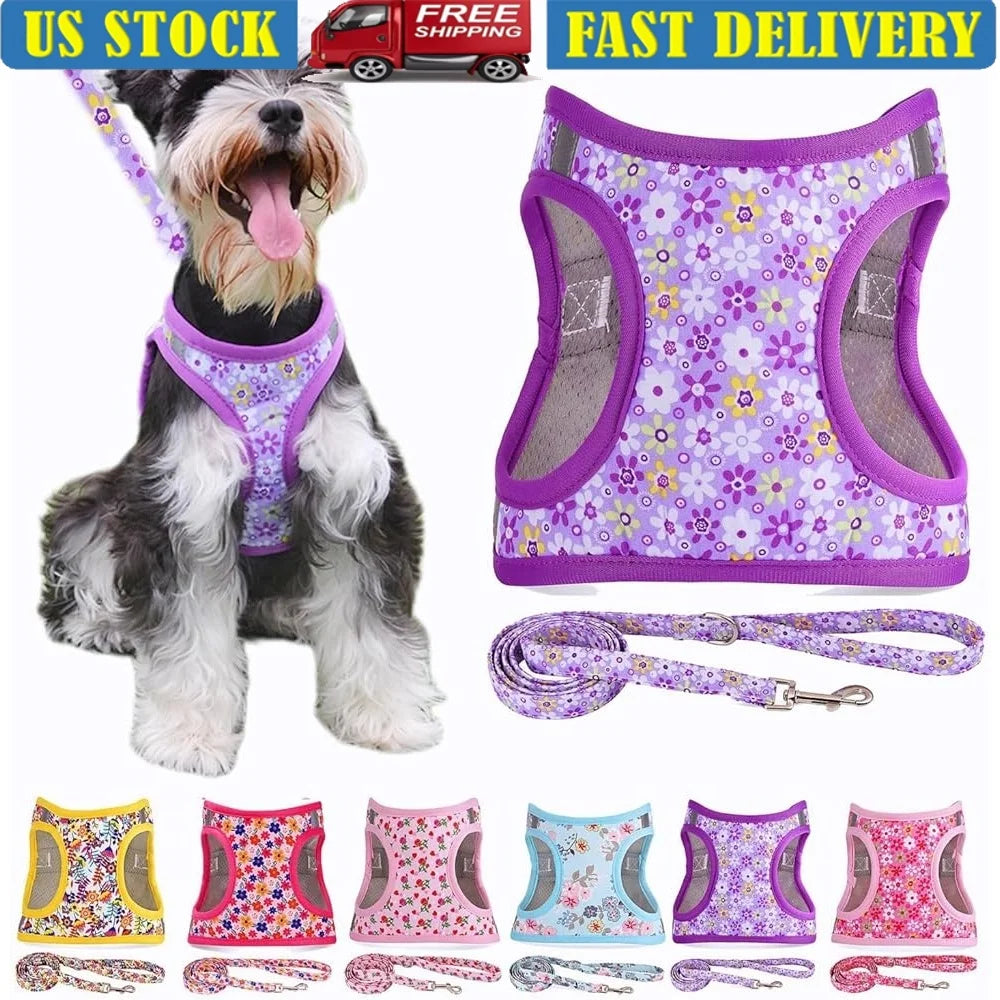 Reflective No Pull Dog Harness Leash Set Padded Mesh Vest