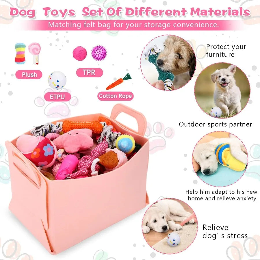 Puppy Essentials Starter Kit 65 Pcs Includes Leash and Toys