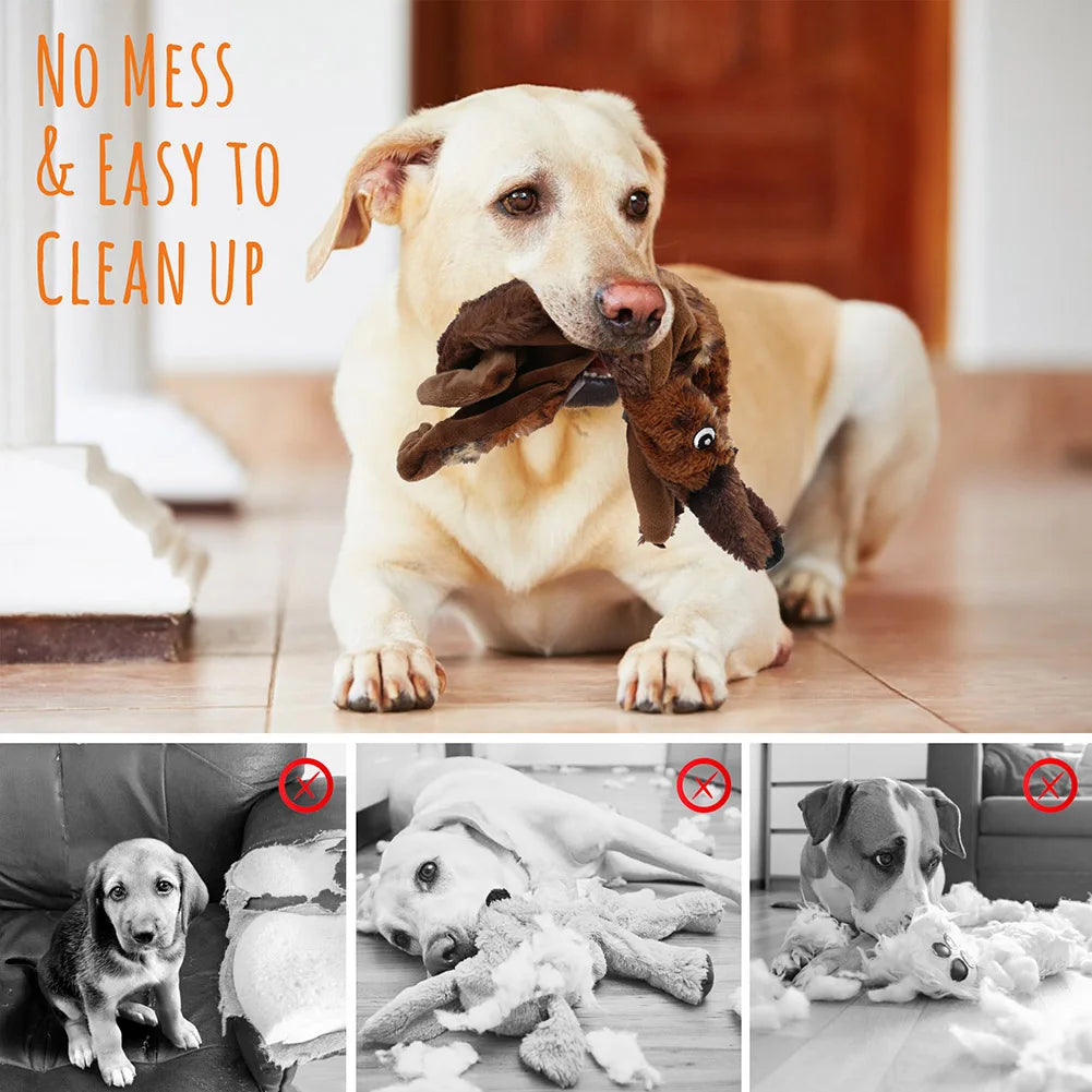 Hign-concerned Five Pack Crinkle Squeaky Plush Dog Toys No Stuffing