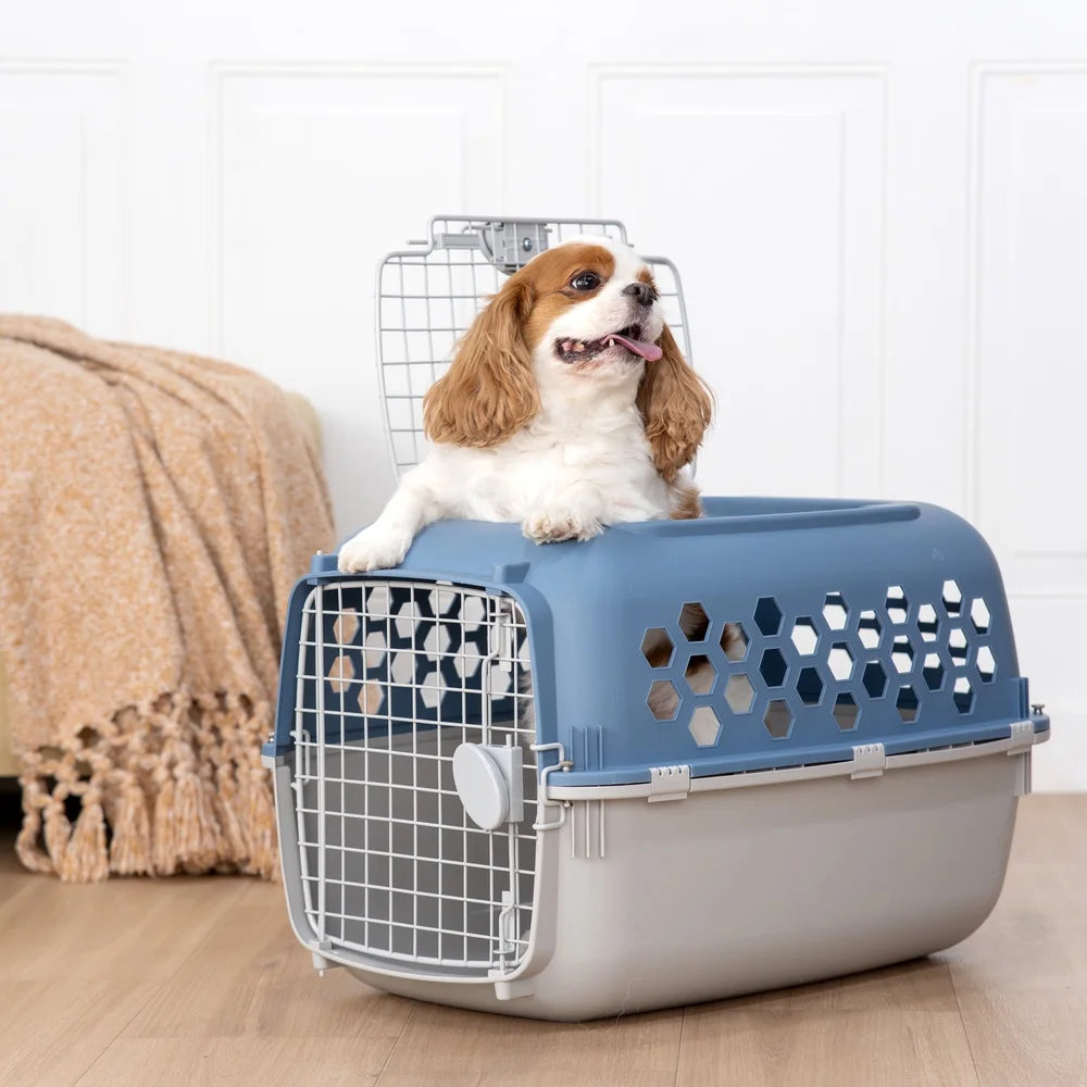 Multicolored Plastic Double Door Pet Kennel Top Opening Dogs Cats Heavy Duty Durable Secure Travel Carrier with Ventilation